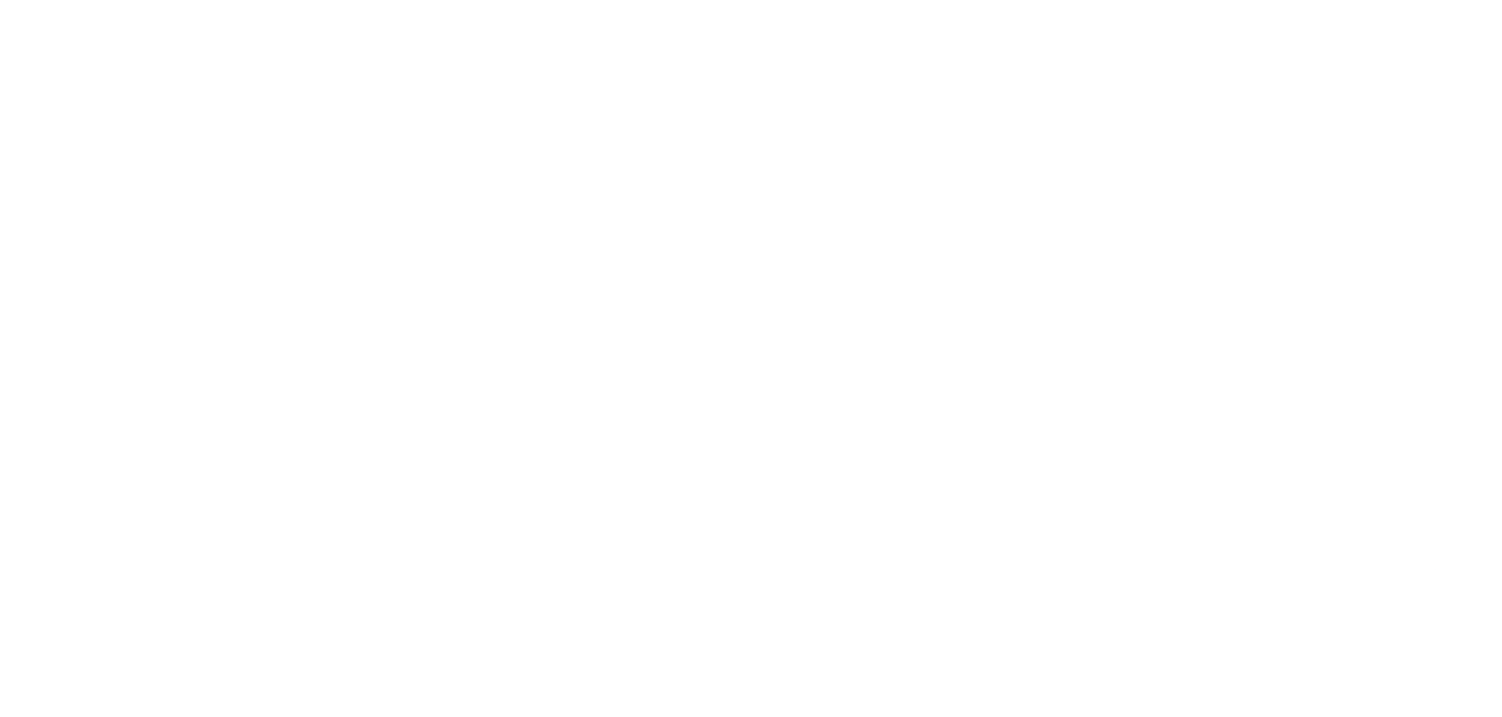 Austin_Inc_white.png